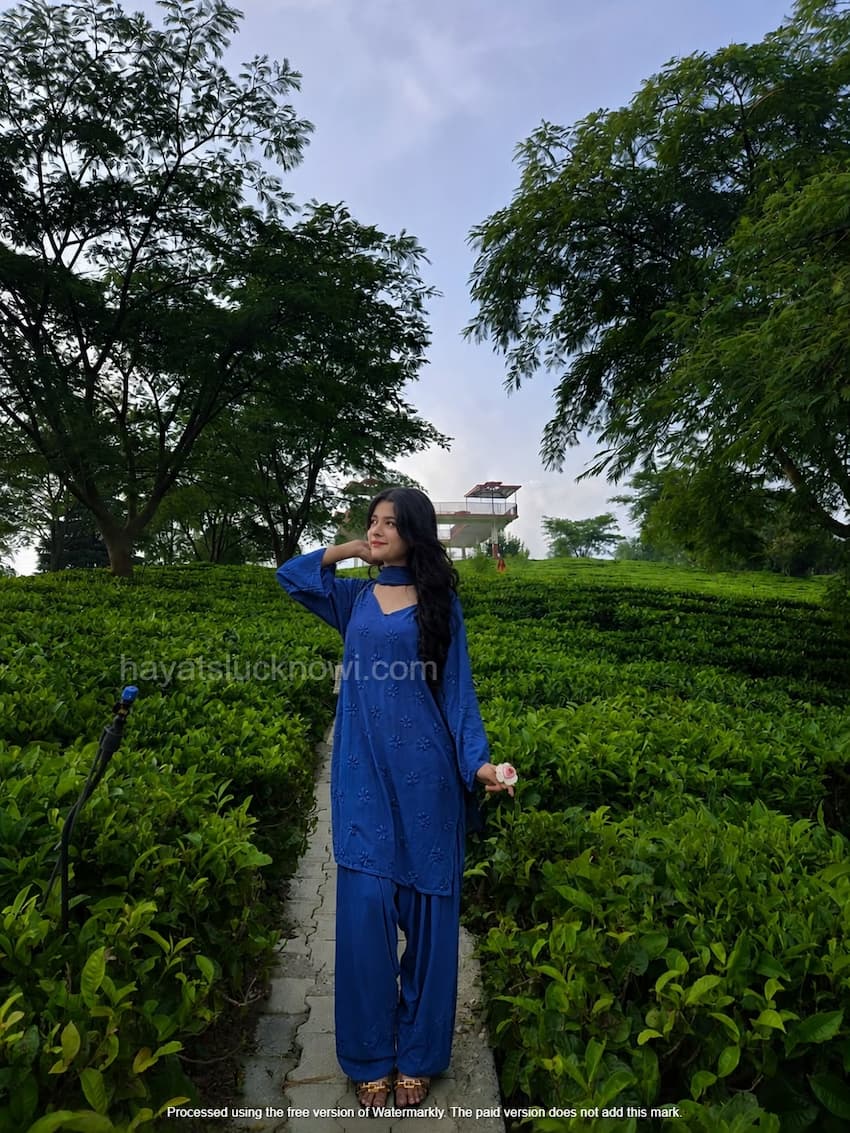 

Blue Rayon Chikankari Farshi Set featuring intricate hand embroidery on soft rayon fabric for a graceful traditional and festive look by Hayat’s Lucknowi.
