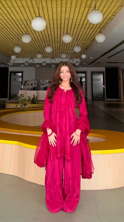 
Pink chikankari Farshi shalwar suit featuring intricate hand embroidery and elegant traditional craftsmanship for graceful festive and ethnic wear by Hayat's Lucknowi.
