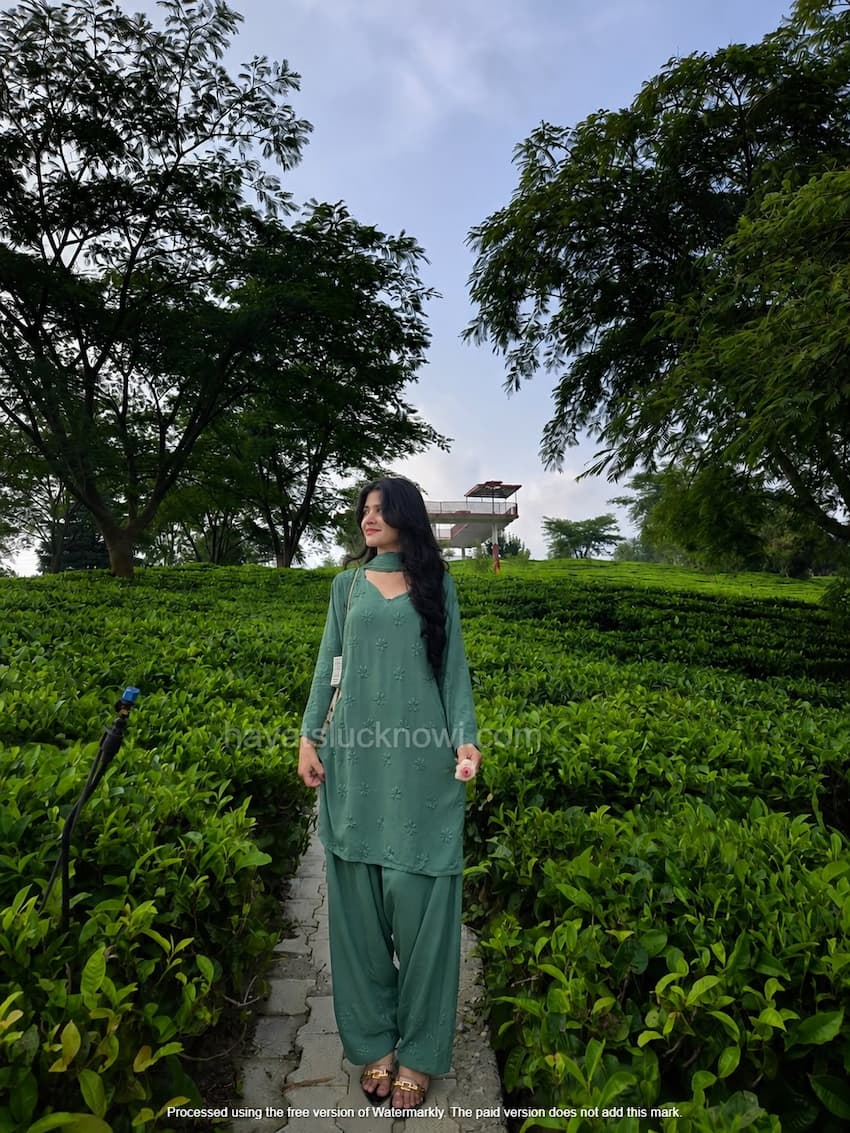 Sage Green Rayon Chikankari Farshi Set featuring intricate hand embroidery on soft rayon fabric for a graceful traditional and festive look by Hayat’s Lucknowi.
