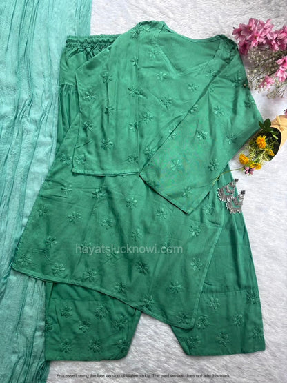 

Sage Green Rayon Chikankari Farshi Set featuring intricate hand embroidery on soft rayon fabric for a graceful traditional and festive look by Hayat’s Lucknowi.
