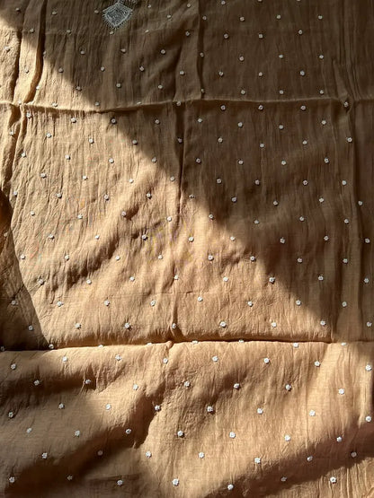 
Tabish women's brown mul Chanderi handwork kurta and dupatta unstitched suit featuring intricate handcrafted detailing and elegant traditional craftsmanship for timeless ethnic wear by Hayat's Lucknowi.
