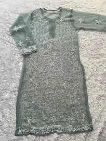 Karishma Gray Georgette Chikankari Kurti